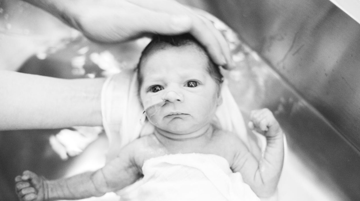 premature baby wordt gewassen